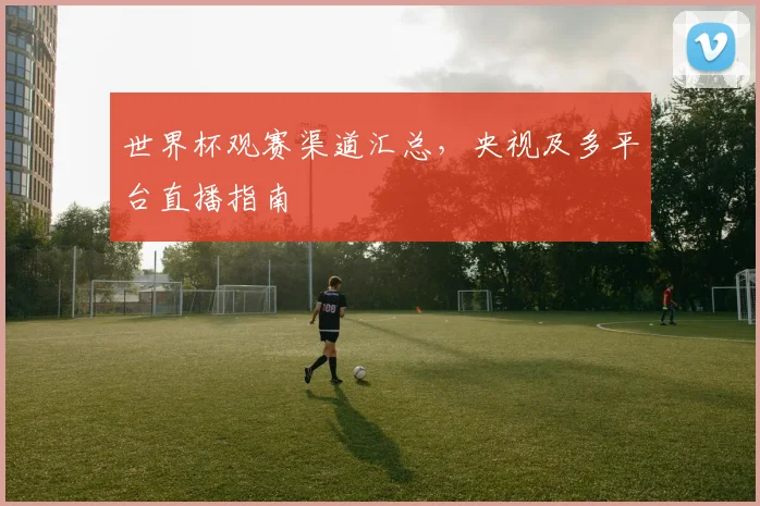 世界杯观赛渠道汇总，央视及多平台直播指南